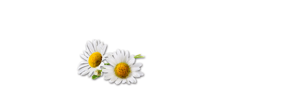 French daisies Tyrolean Mountain Air Sausage mild Handl Tyrol