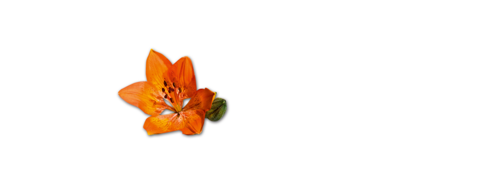 Fire lily Tyrolean Mountain Air Sausage aromatic Handl Tyrol