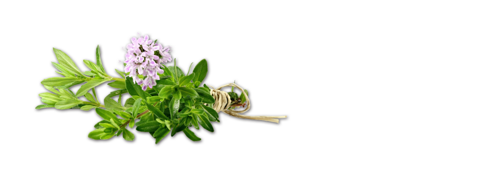 appetizer_thymian_mild_tyrolini_XXL