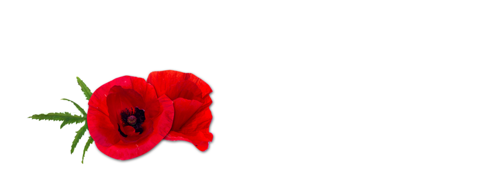 Poppies Tyrolean beef sausage Handl Tyrol