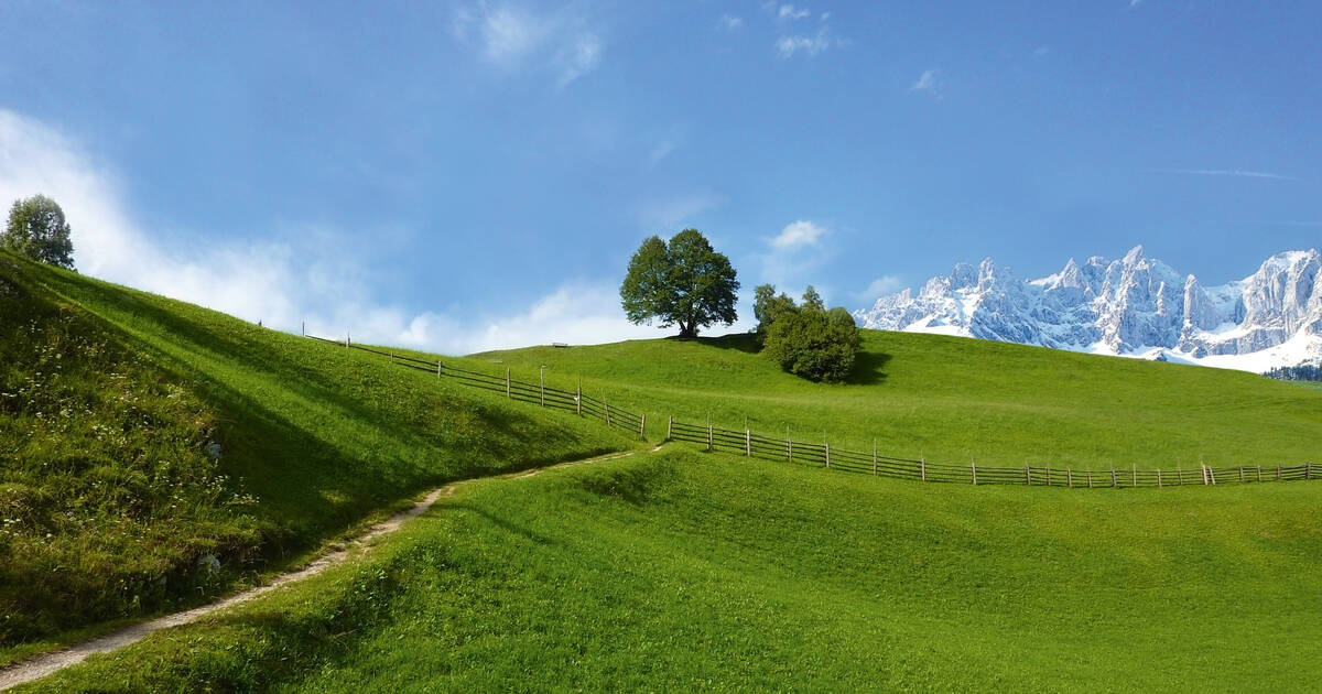 Imprint - HANDL TYROL