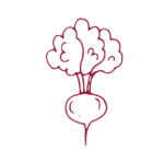 Radishes
