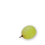 traubegruen Handl Tyrol