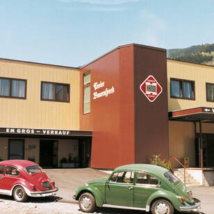 company Pians beetle Handl Tyrol