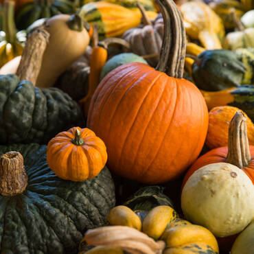 pile of pumkins Handl Tyrol